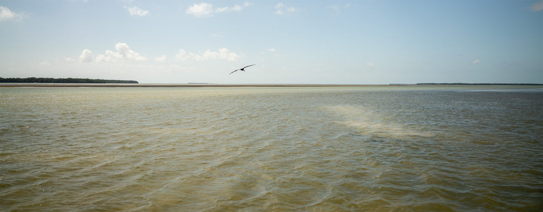 Off the Grid: Sun, Sand, & Snook Hookin'