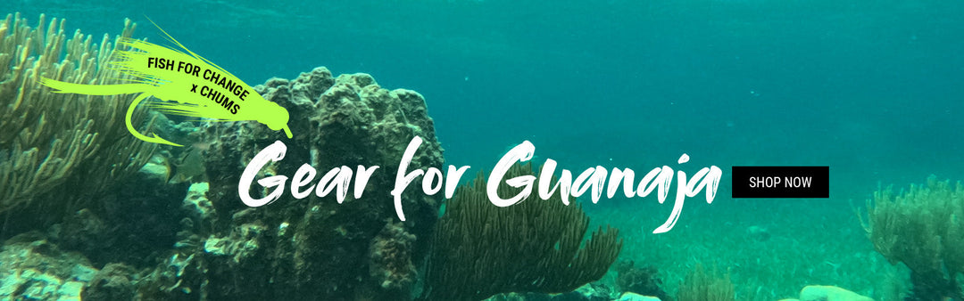 Fish for Change - Gear for Guanaja, underwater scene