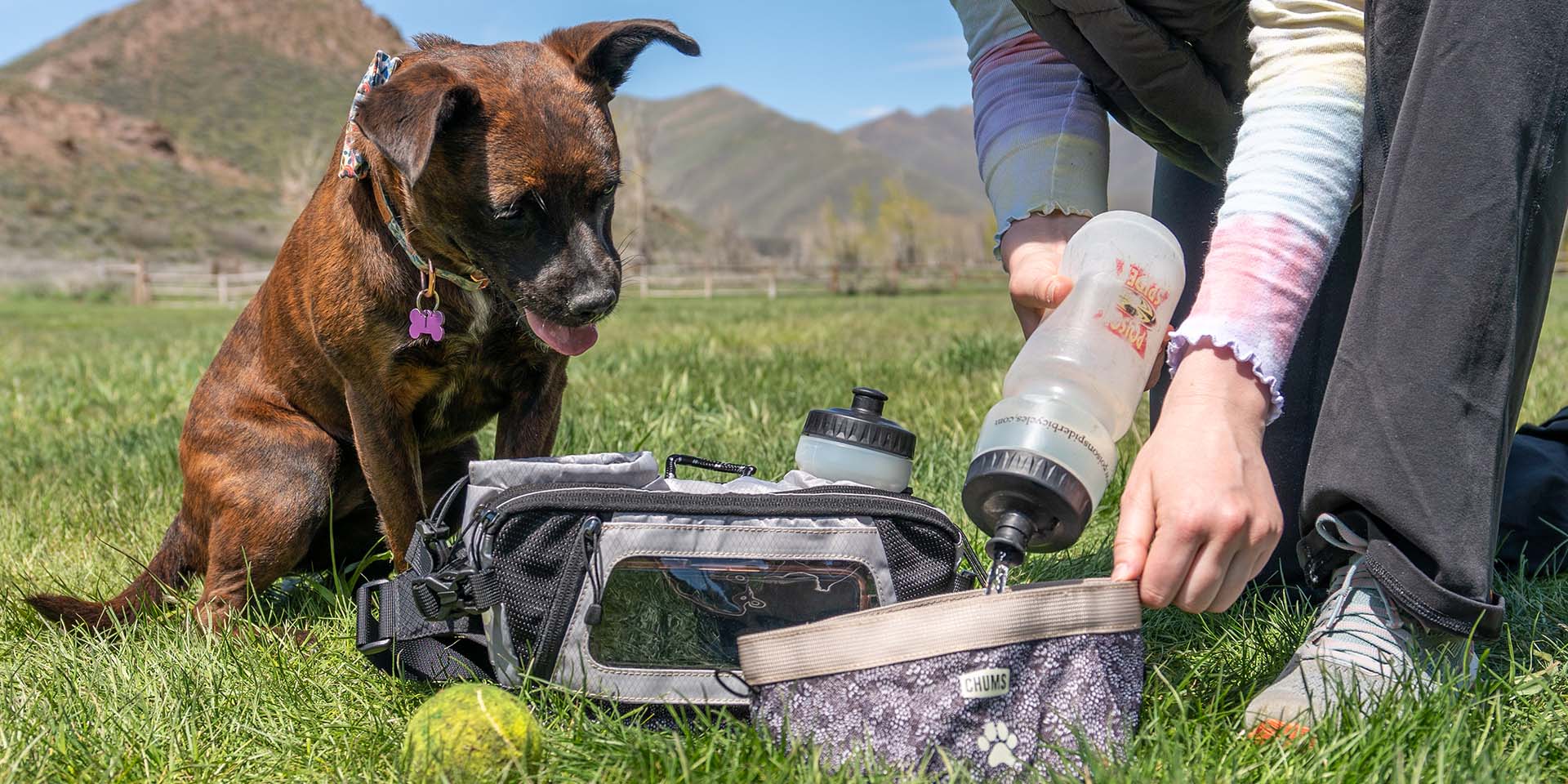 Trail Dawg lifestyle: TrailDawg Hero