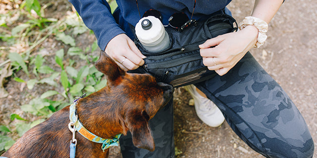 Trail Dawg lifestyle: TrailDawg SM1