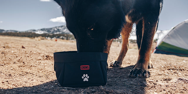 Trail Dawg lifestyle: TrailDawg SM3